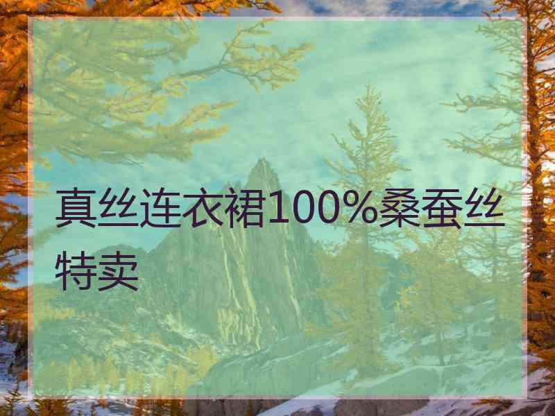 真丝连衣裙100%桑蚕丝特卖