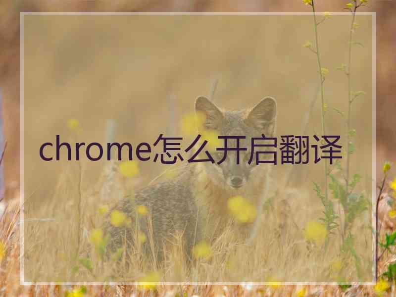 chrome怎么开启翻译