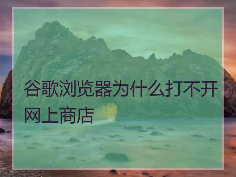 谷歌浏览器为什么打不开网上商店