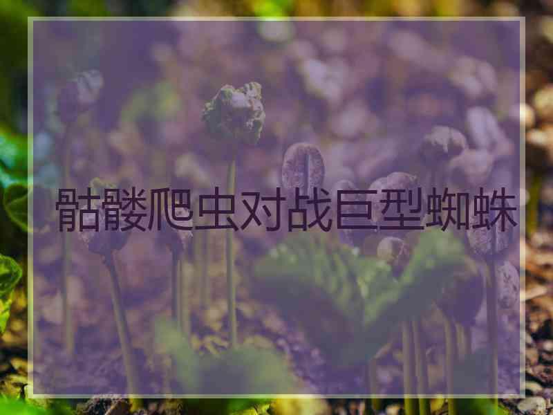 骷髅爬虫对战巨型蜘蛛