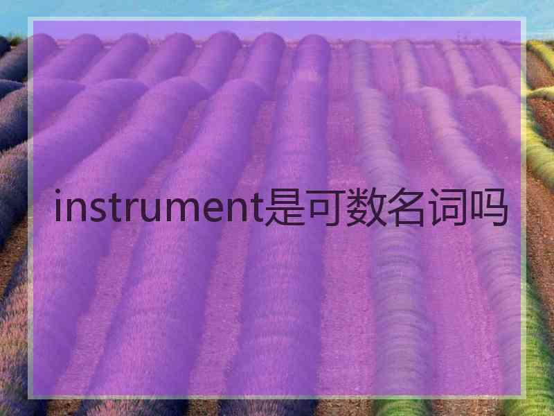 instrument是可数名词吗