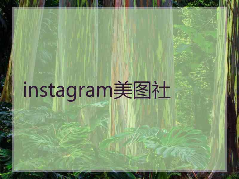 instagram美图社