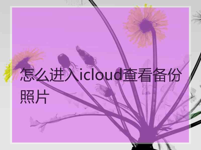 怎么进入icloud查看备份照片