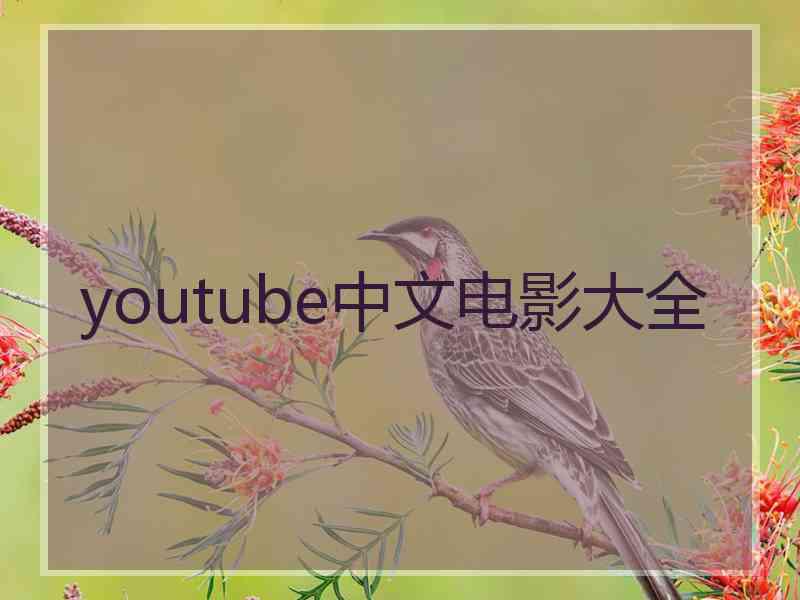 youtube中文电影大全