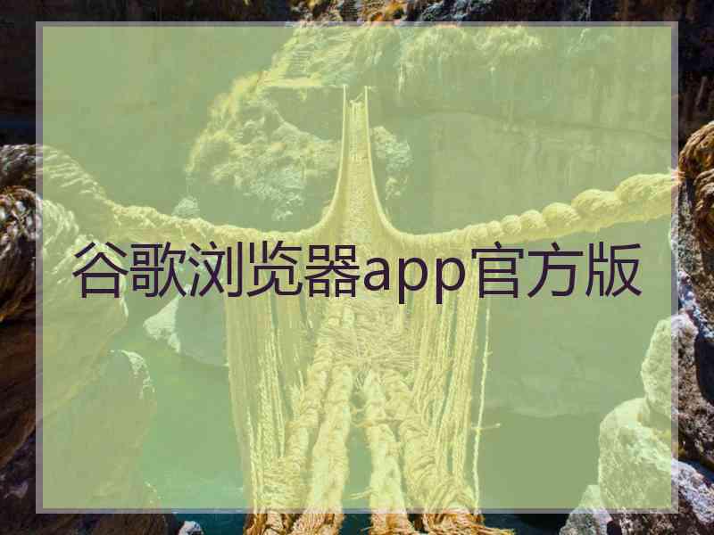 谷歌浏览器app官方版