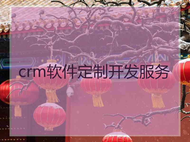 crm软件定制开发服务