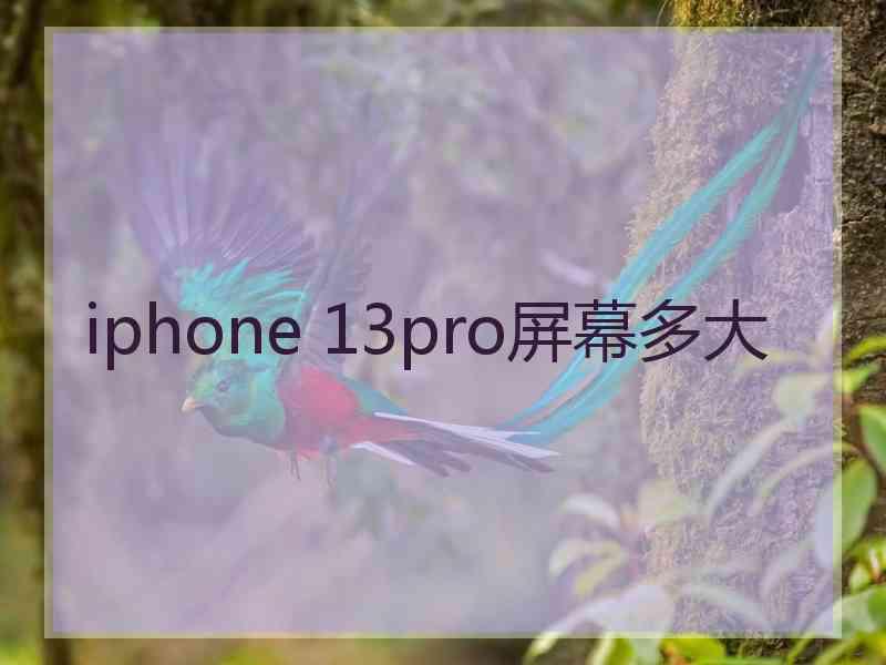 iphone 13pro屏幕多大