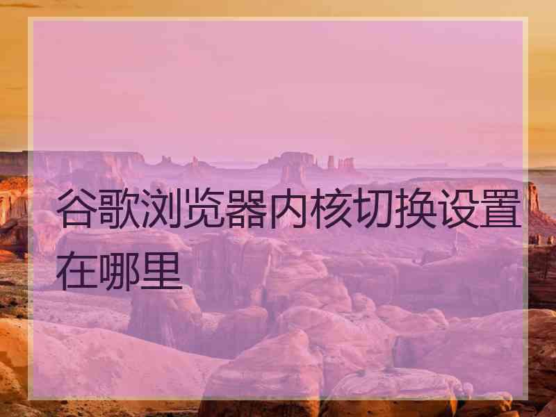 谷歌浏览器内核切换设置在哪里