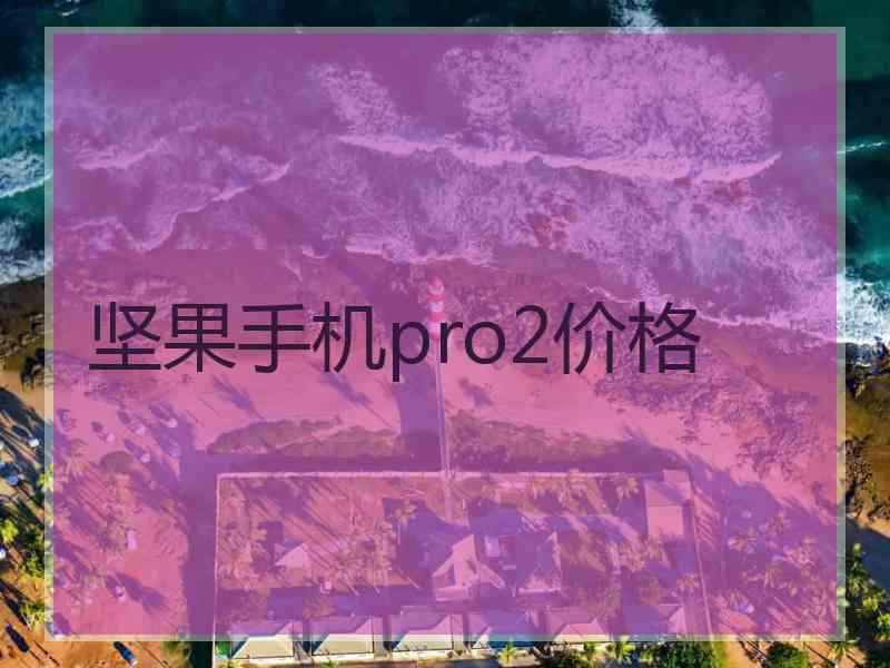 坚果手机pro2价格