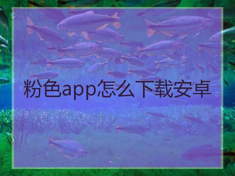 粉色app怎么下载安卓