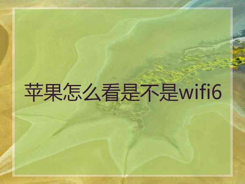 苹果怎么看是不是wifi6