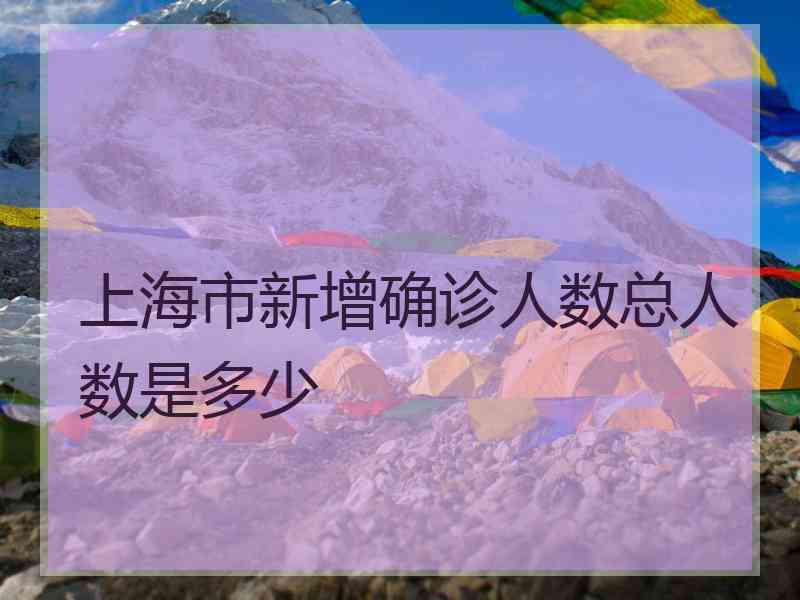 上海市新增确诊人数总人数是多少