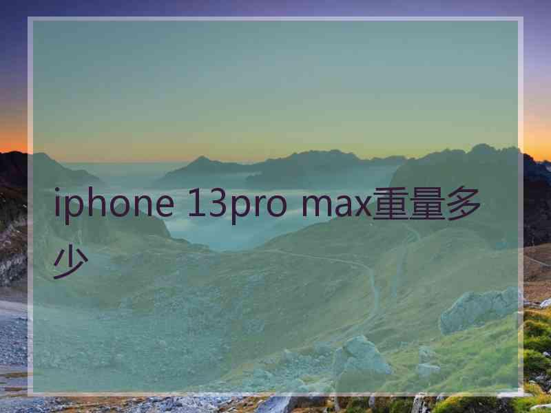 iphone 13pro max重量多少