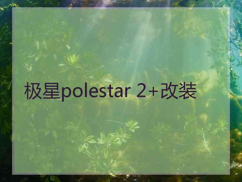 极星polestar 2+改装