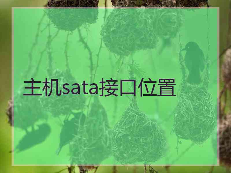 主机sata接口位置