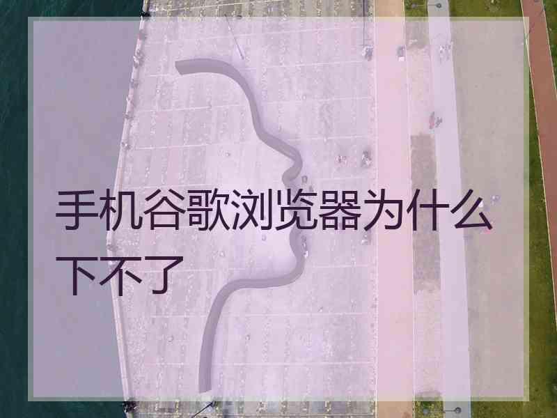 手机谷歌浏览器为什么下不了