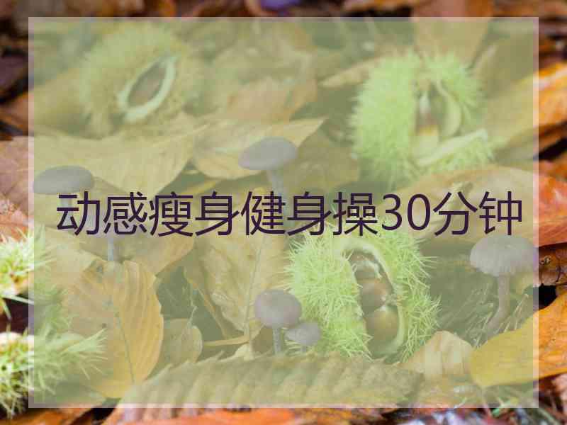 动感瘦身健身操30分钟