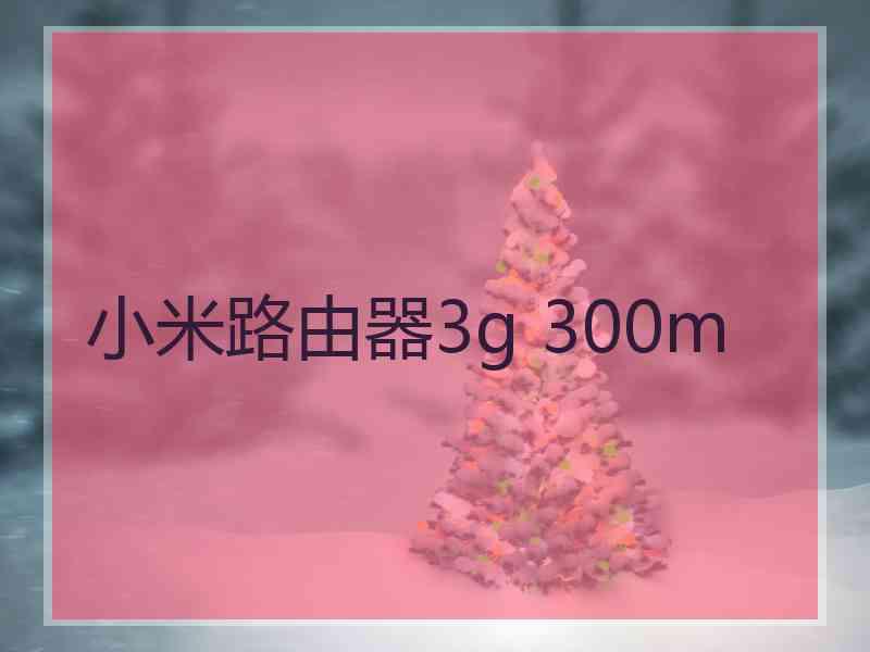 小米路由器3g 300m