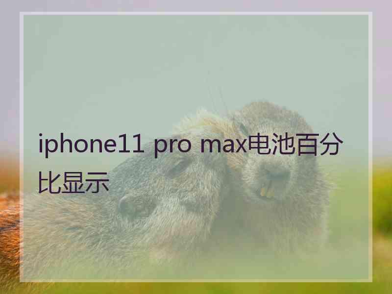 iphone11 pro max电池百分比显示