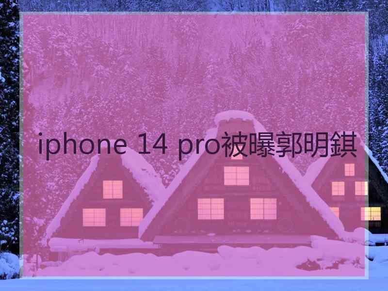 iphone 14 pro被曝郭明錤