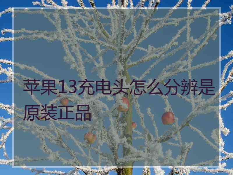 苹果13充电头怎么分辨是原装正品