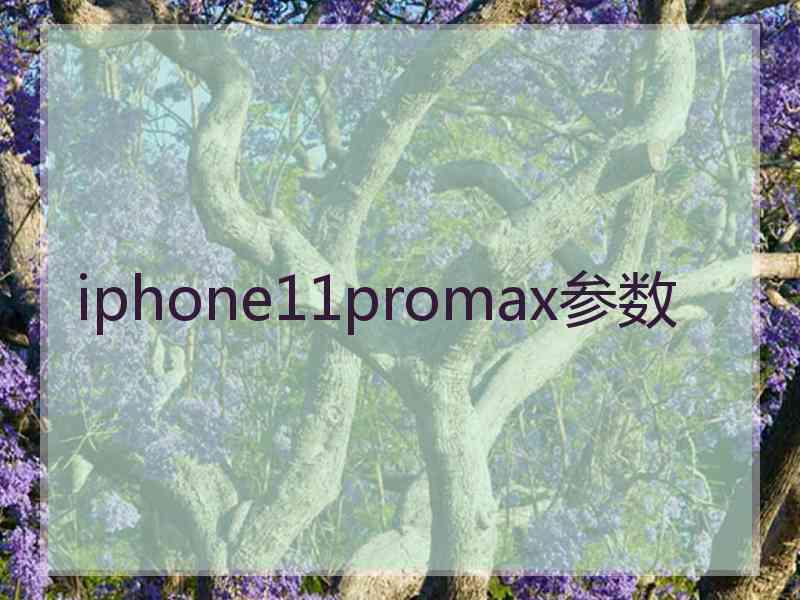 iphone11promax参数