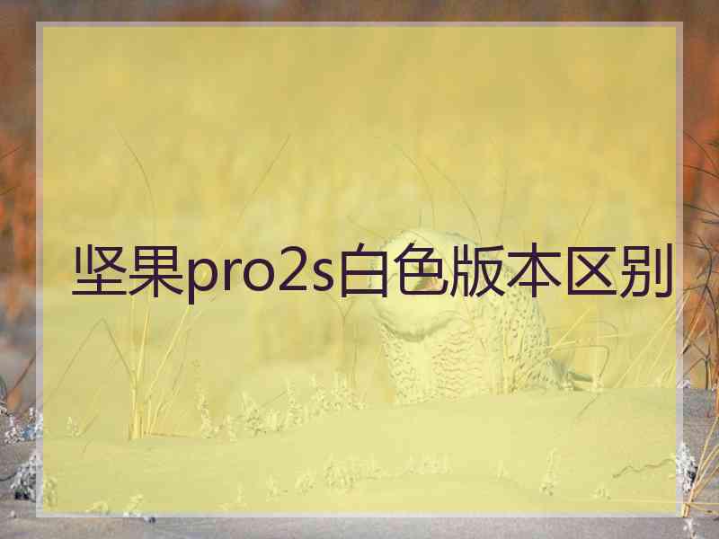 坚果pro2s白色版本区别