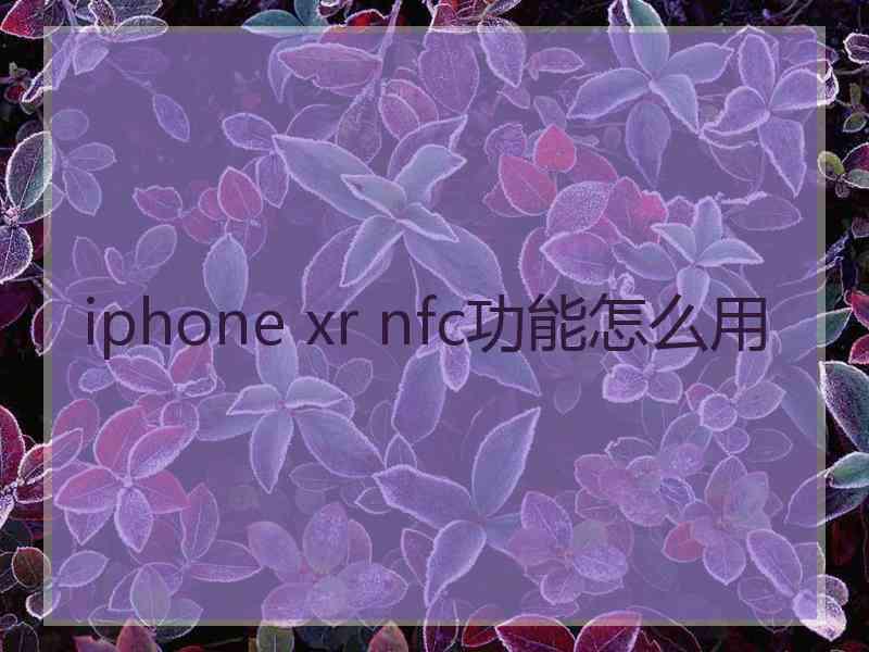 iphone xr nfc功能怎么用