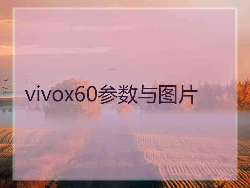 vivox60参数与图片