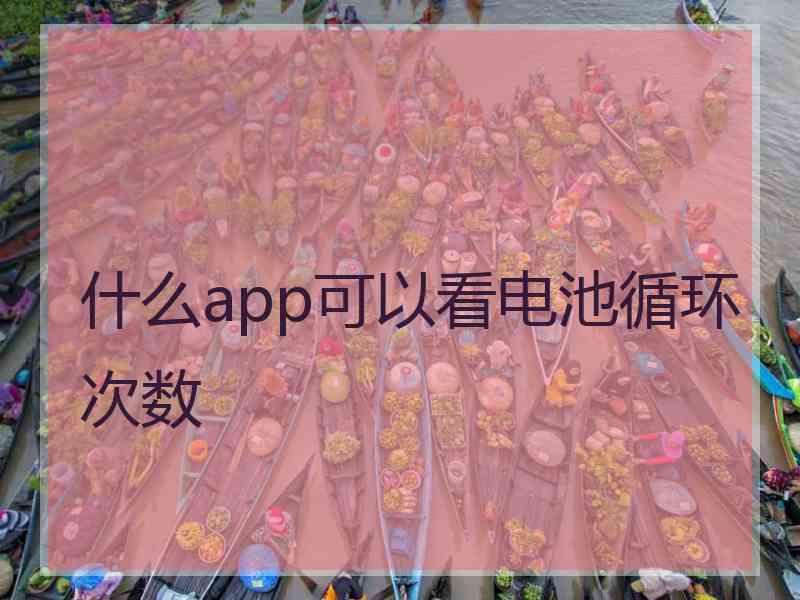 什么app可以看电池循环次数