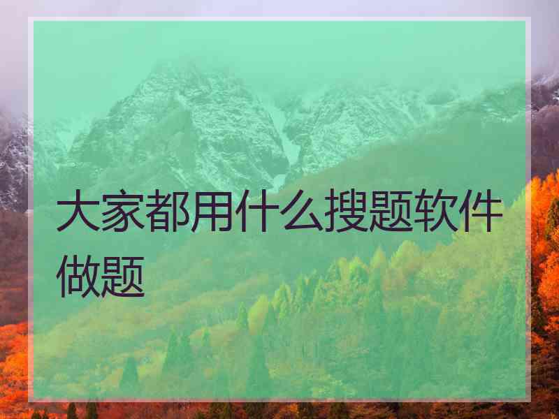 大家都用什么搜题软件做题