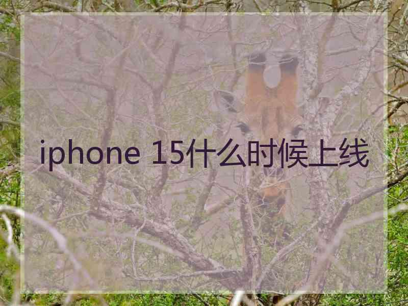 iphone 15什么时候上线