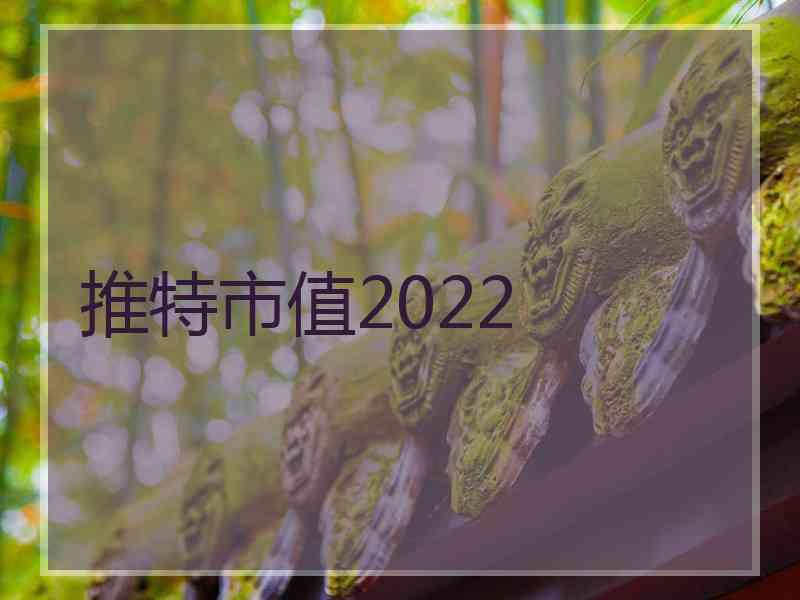 推特市值2022