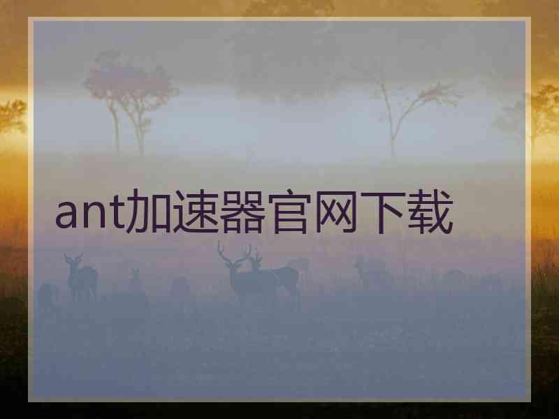 ant加速器官网下载