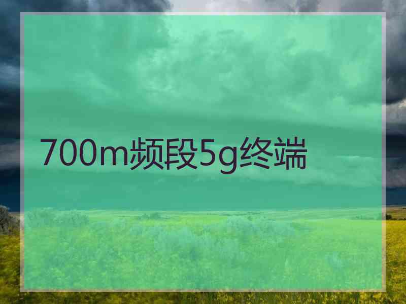 700m频段5g终端