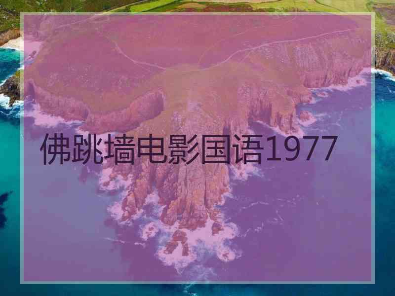 佛跳墙电影国语1977