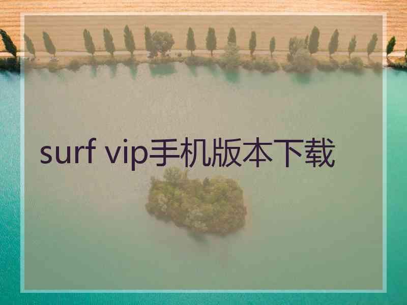 surf vip手机版本下载