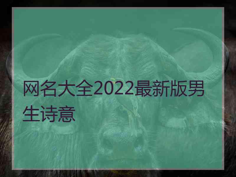 网名大全2022最新版男生诗意