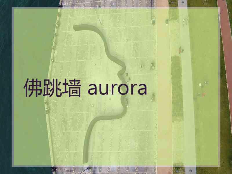 佛跳墙 aurora