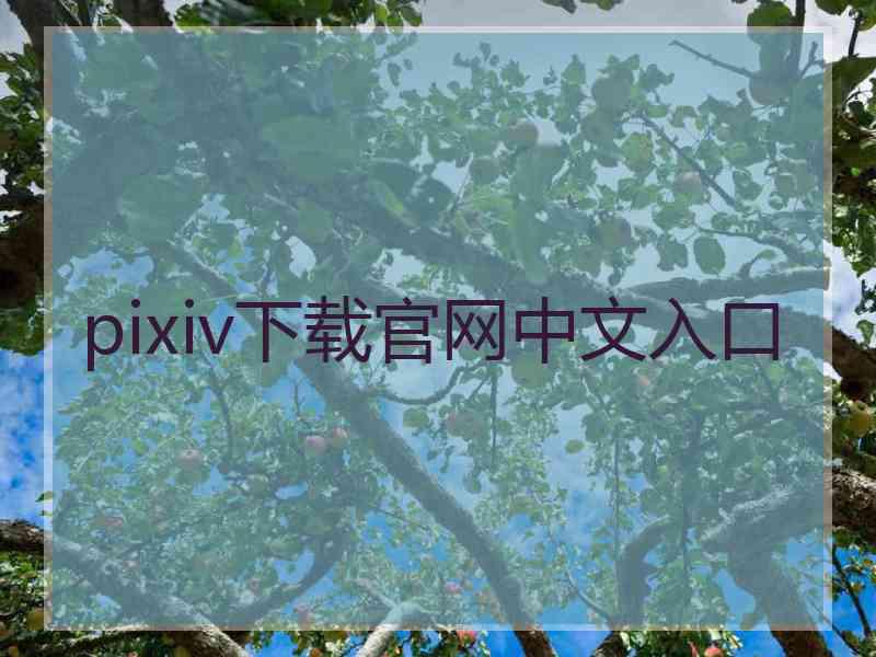 pixiv下载官网中文入口