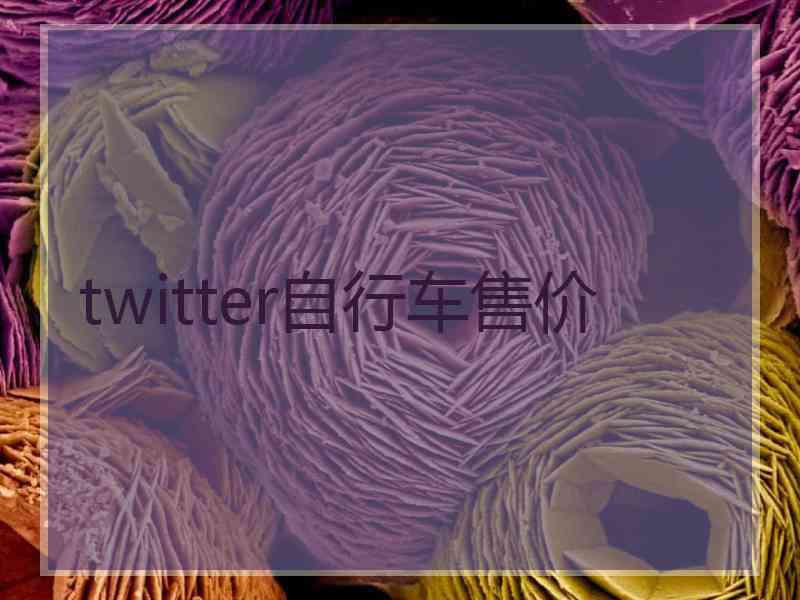 twitter自行车售价