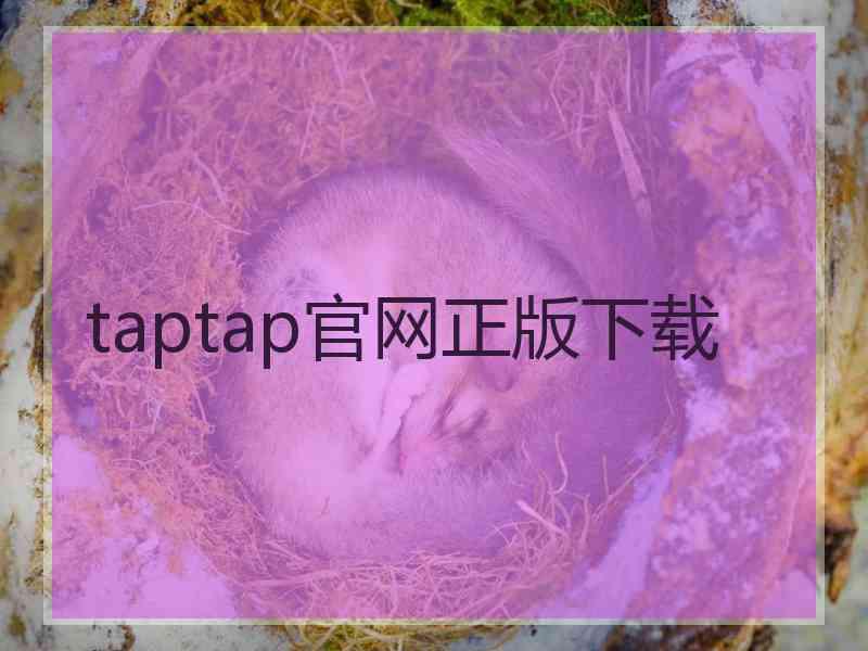 taptap官网正版下载