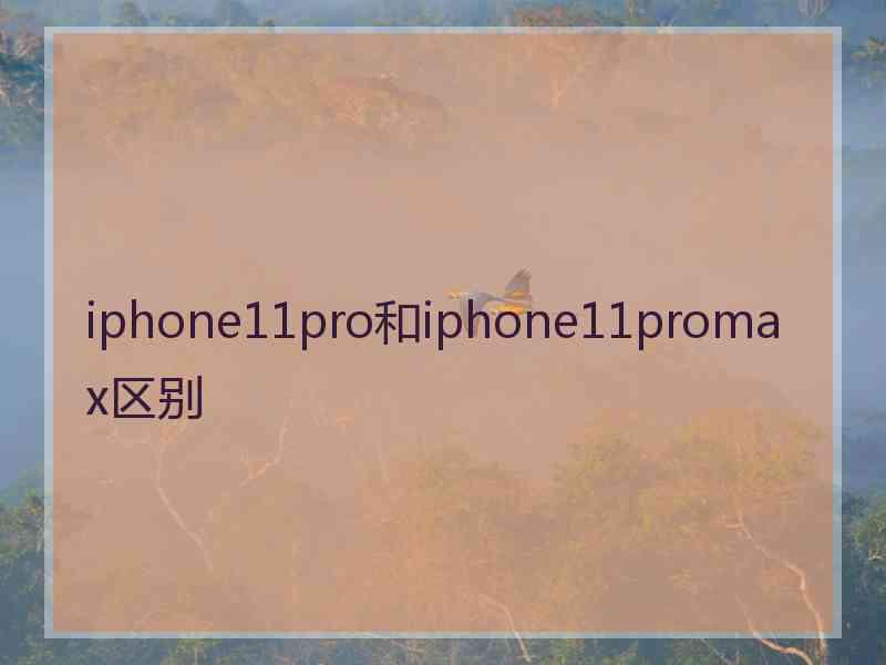 iphone11pro和iphone11promax区别