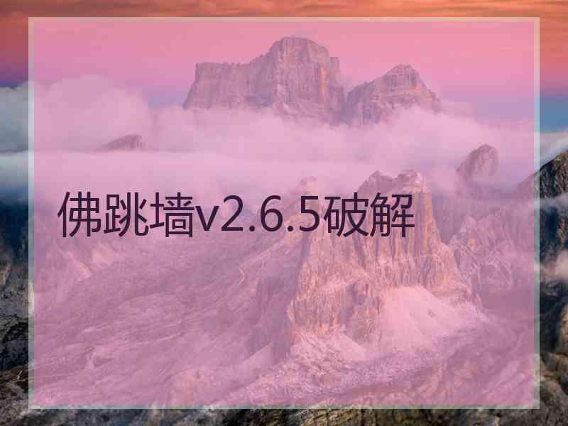 佛跳墙v2.6.5破解