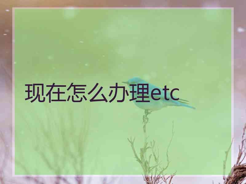 现在怎么办理etc