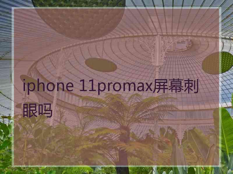 iphone 11promax屏幕刺眼吗