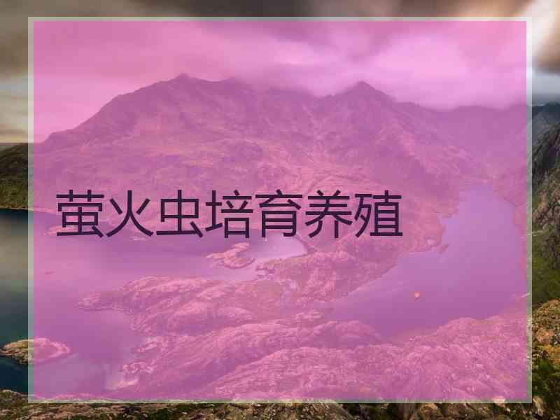 萤火虫培育养殖