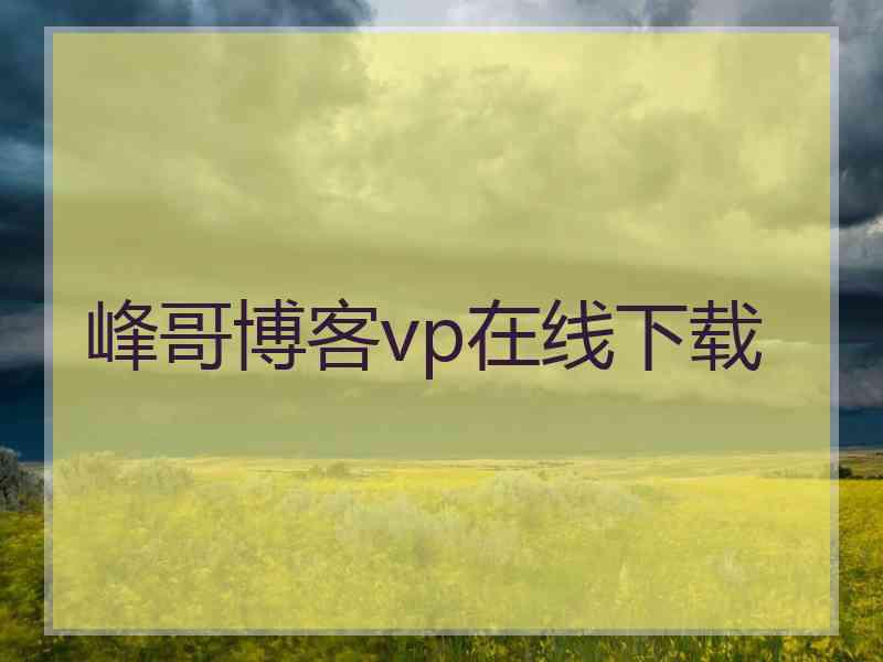 峰哥博客vp在线下载