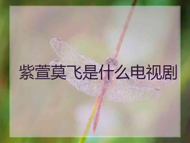 紫萱莫飞是什么电视剧