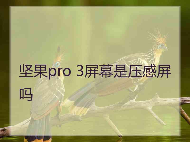 坚果pro 3屏幕是压感屏吗